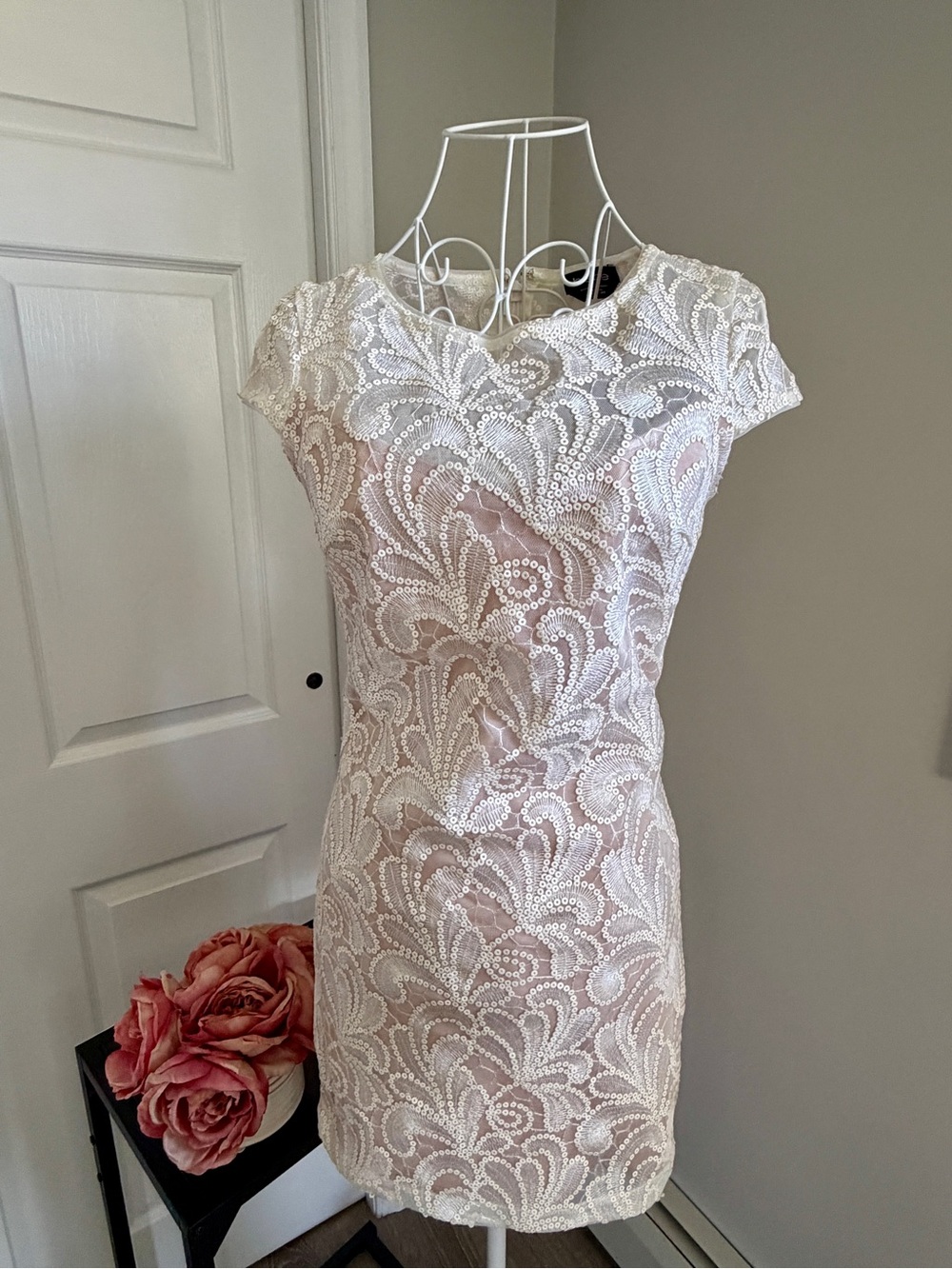 bebe crème Lace Mini Dress with Blush Underlay